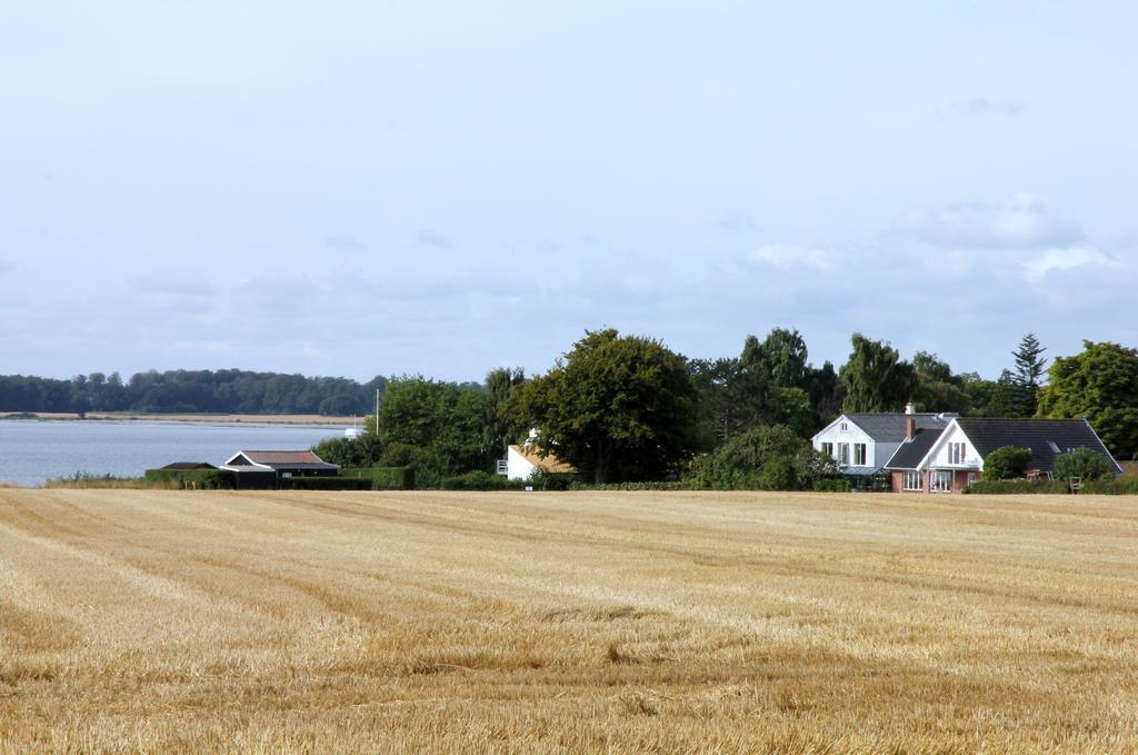 Stevns Klint Strandpension Rødvig Exteriör bild