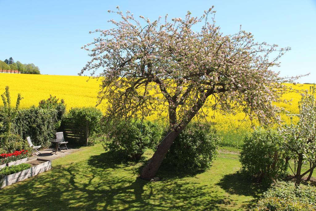 Stevns Klint Strandpension Rødvig Exteriör bild
